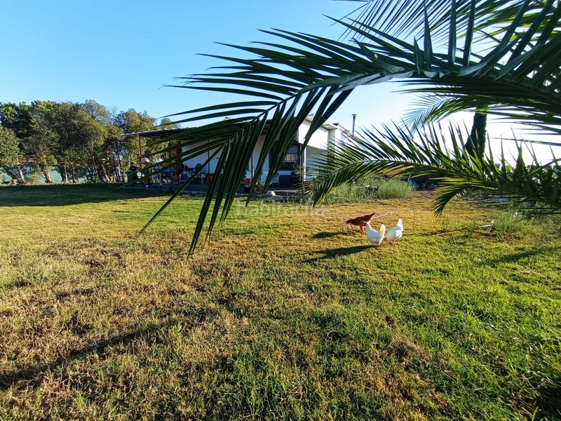 Foto d0c3fd90-d6f9-40e6-bf6c-6582e3d6b0e5. Masia a pago llano 5 a Chipiona norte Chipiona