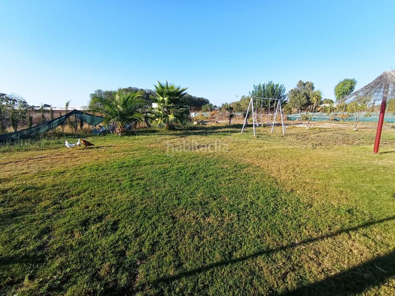 Foto fea17199-3a07-4ea5-b297-6ac8f3a7757f. Masia a pago llano 5 a Chipiona norte Chipiona