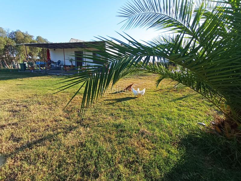 Foto caaf3e02-d528-404f-90f6-3c0cc59260c4. Bauernhof mit heizung in Chipiona norte Chipiona