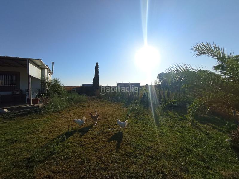 Foto 5c49321f-9d6d-4d4d-8fee-3d82f2ea29df. Mas avec chauffage dans Chipiona norte Chipiona