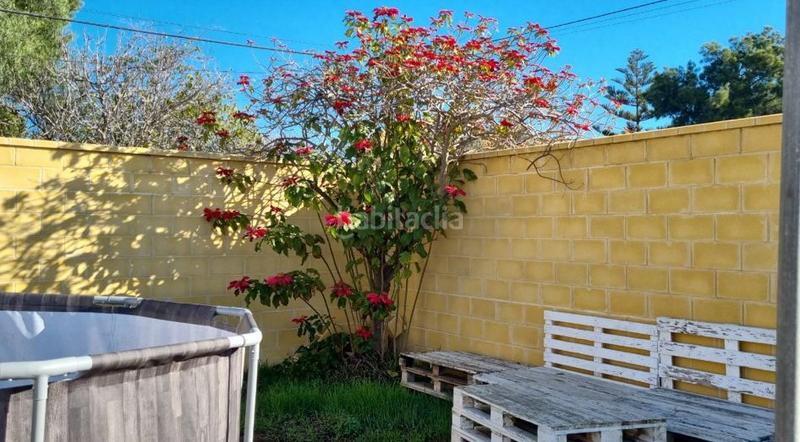 Foto 7ba64be4-f989-455c-9f8d-b8bc7c17c24d. Bauernhof in Playa Cruz del Mar Chipiona