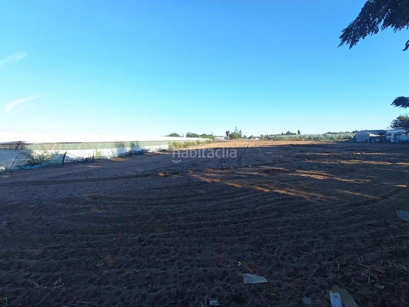 Foto 32a3ed93-601d-489b-b1d2-9cff8ce11292. Terreno residencial en Avenida de Rota Chipiona