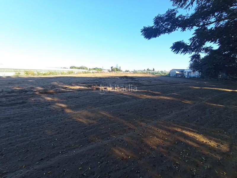 Foto 8153f466-284f-4ab4-aff8-ee3f7047f530. Terreno residencial en Avenida de Rota Chipiona