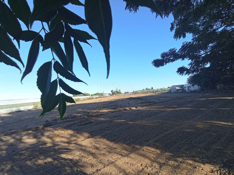 Foto b9dd5cbc-4ede-4517-81cc-e7c9dae66669. Residential plot in Avenida de Rota Chipiona