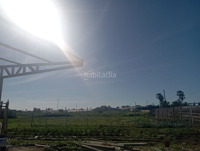 Foto 5dfca7ff-a932-42b1-a12d-e5df2bc29ab6. Masia a Chipiona norte Chipiona