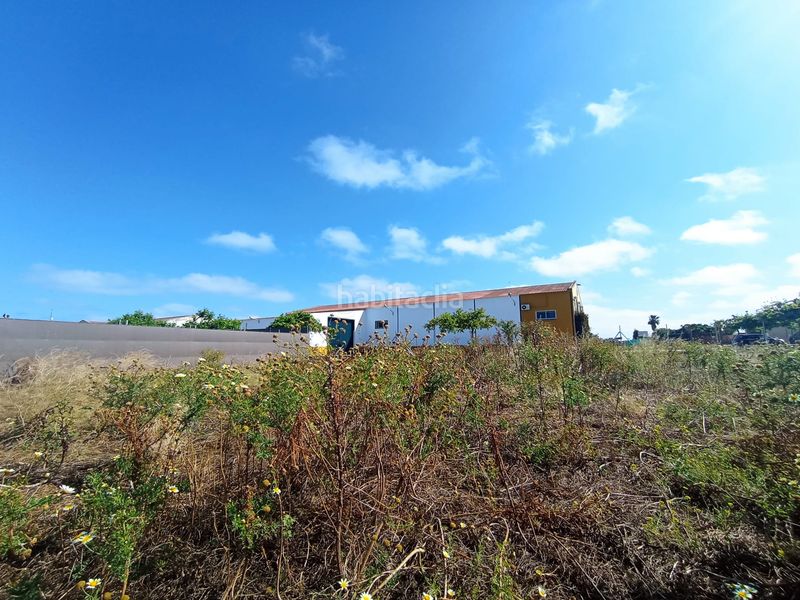 Foto bcd87ecb-b72a-465c-9e97-c2bc69d03838. Casale in Chipiona norte Chipiona