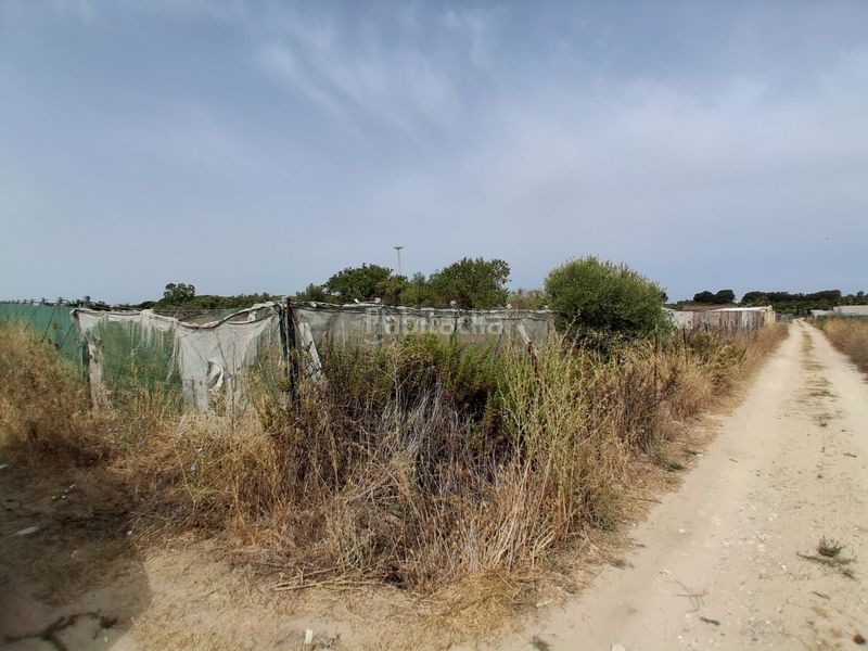 Foto d19a4405-6b4b-46eb-a212-d8ec4cf2bc96. Terreny residencial a Las Tres Piedras - Costa Ballena Chipiona