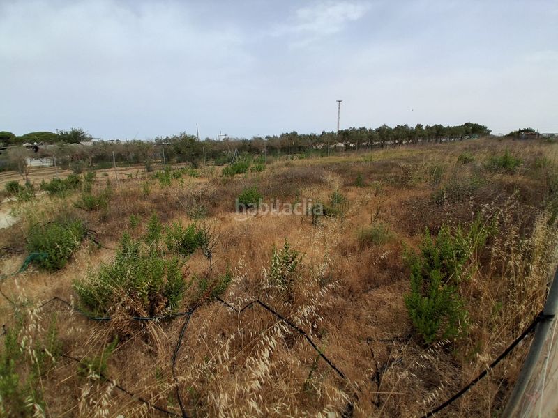 Foto f15685ed-05fb-4282-b5e0-7ab00fafcdae. Terreny residencial a Las Tres Piedras - Costa Ballena Chipiona