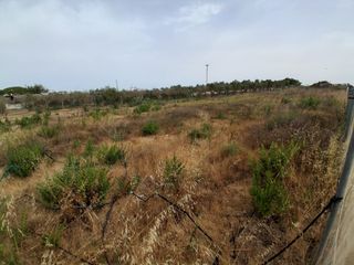 Terreno residenziale  Pinar de la villa