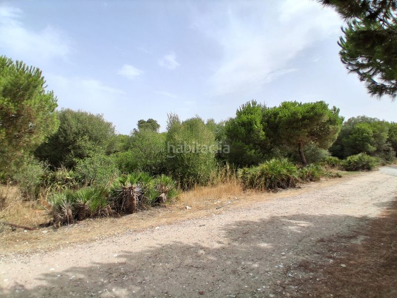 Foto 12429a91-10c2-4f46-b578-2000d97629f4. Terreny residencial a Las Tres Piedras - Costa Ballena Chipiona