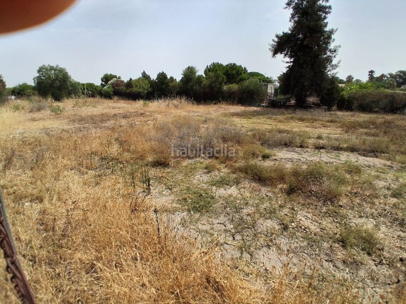Foto 51dd5264-93c8-4808-b951-b342d2d46cec. Terreny residencial a Las Tres Piedras - Costa Ballena Chipiona