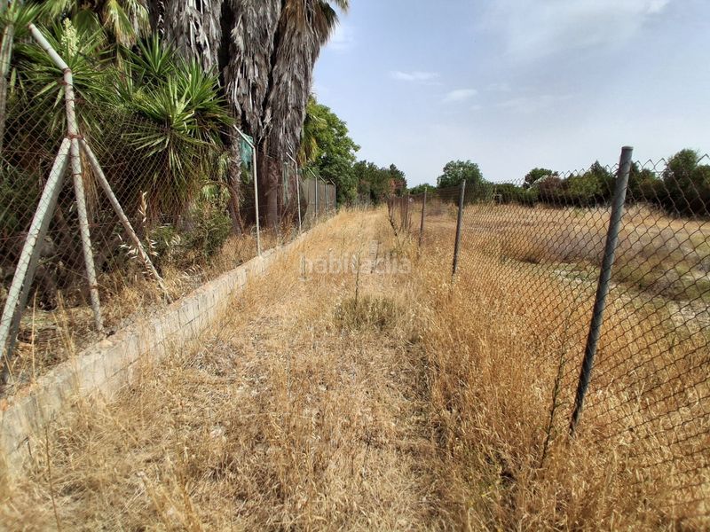 Foto b8a12c8e-0163-4d47-a8f1-19651bc0ee0c. Terreny residencial a Las Tres Piedras - Costa Ballena Chipiona