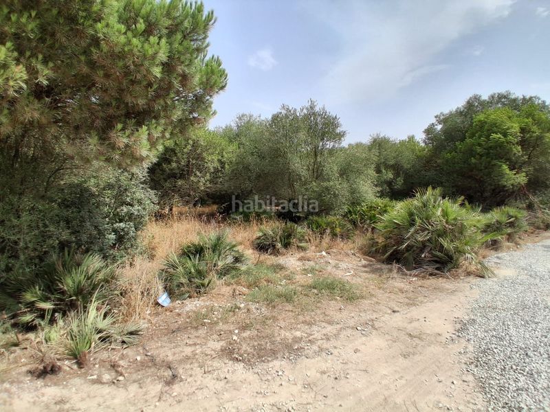Foto d4743956-b9fe-40ab-a46b-4ab45a27cd30. Terreny residencial a Las Tres Piedras - Costa Ballena Chipiona