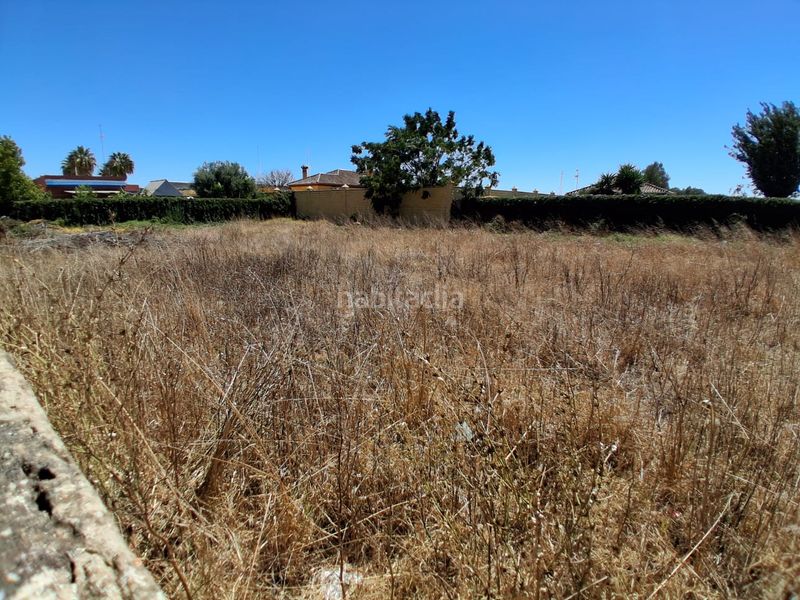 Foto 2f8fa556-f53d-4228-a9e1-aef9481fada5. Terreno residencial en Las Tres Piedras - Costa Ballena Chipiona