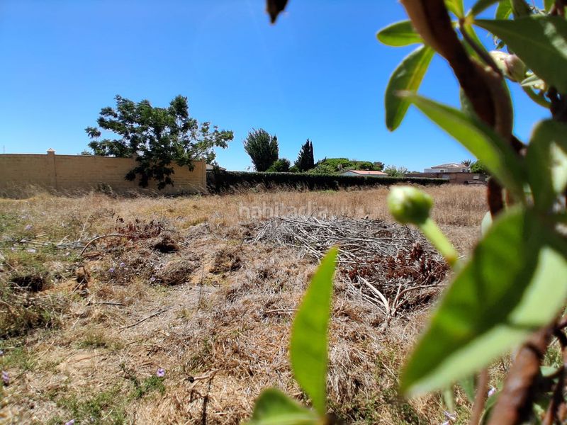 Foto 5f136d3c-443a-43df-ba9f-46b8545c8b6a. Terreno residencial en Las Tres Piedras - Costa Ballena Chipiona