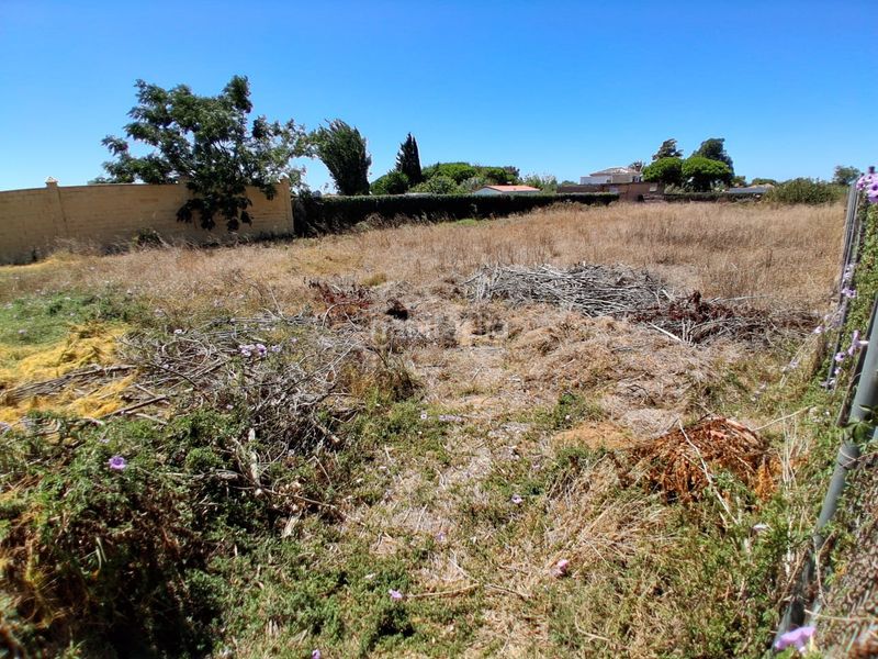Foto 62be664e-5bd6-4c5a-9795-f044e8f7b43d. Terreno residencial en Las Tres Piedras - Costa Ballena Chipiona