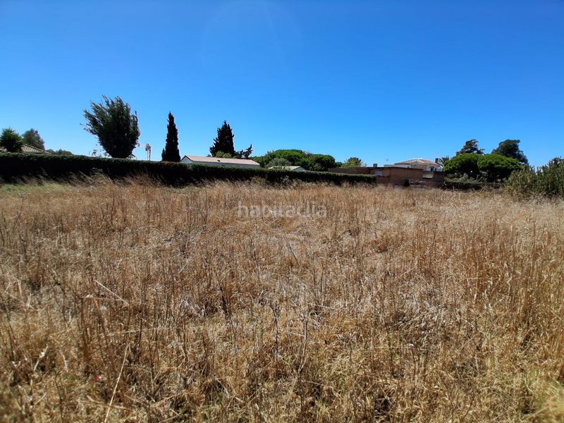 Foto ab2b6428-0c0a-42b2-a1bd-ea7f18777ee8. Terreno residencial en Las Tres Piedras - Costa Ballena Chipiona