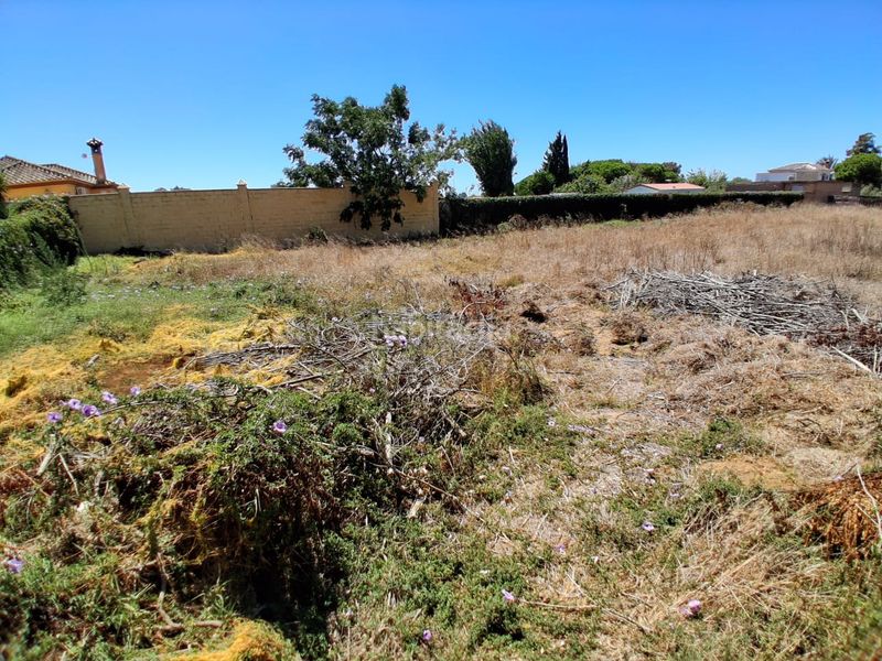 Foto c8b297ce-ddef-449a-8e4e-b77706a7ffb3. Terreno residencial en Las Tres Piedras - Costa Ballena Chipiona