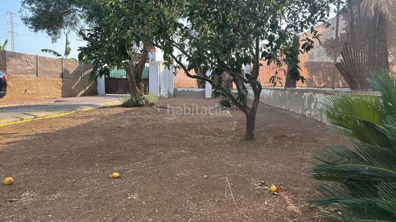 Foto 6e6bba7a-1643-400f-bd62-dd5bdfaea473. Masia a Las Tres Piedras - Costa Ballena Chipiona