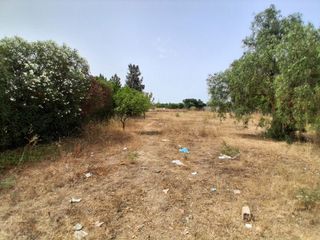 Residential Plot in Pinar de la villa 120