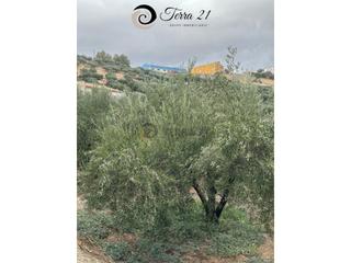 Maison à Puente Jontoya - Puente de la Sierra - El Arroyo. Casa con parcela  venta jaén