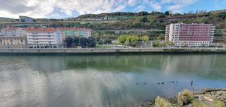 Flat in San Pedro de Deusto - La Ribera