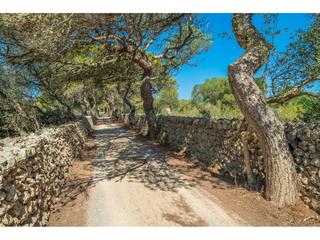 Finca rústica a Sant Climent-Es Canutells. Finca rústica con antigua boyera y almacenes agrícolas en mahón