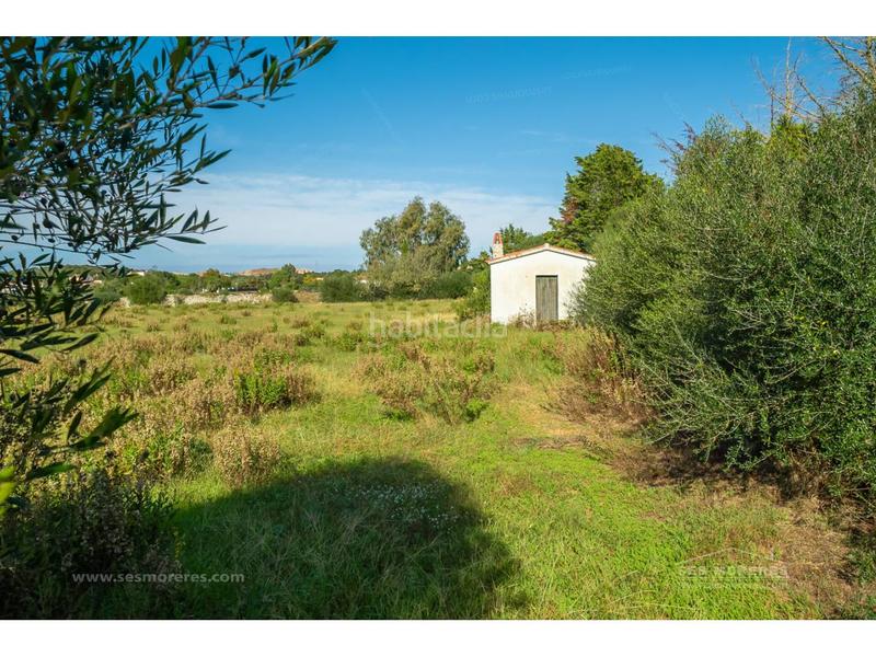 Foto 20e04062-2d09-4497-9024-2b9b488173cd. Terreno residencial terreno edificable en la argentina en Alaior