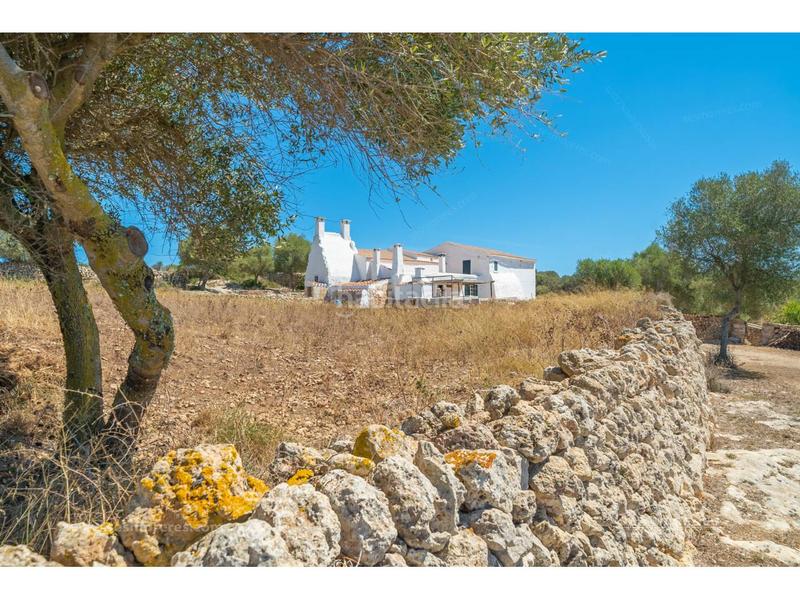Foto 14ee4975-0bdc-483f-8083-f7b07eed92ff. Finca rústica hermosa finca rústica en el barranc dalgendar, menorca propiedades exclusivas a la venta en Ferreries
