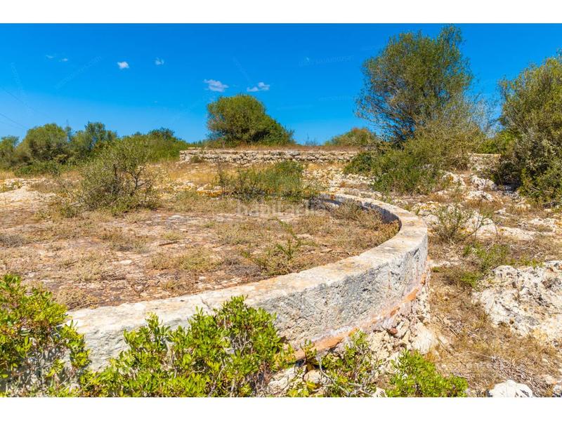 Foto 299c5ff5-7105-4388-bfdb-6e8307cb250e. Finca rústica hermosa finca rústica en el barranc dalgendar, menorca propiedades exclusivas a la venta en Ferreries
