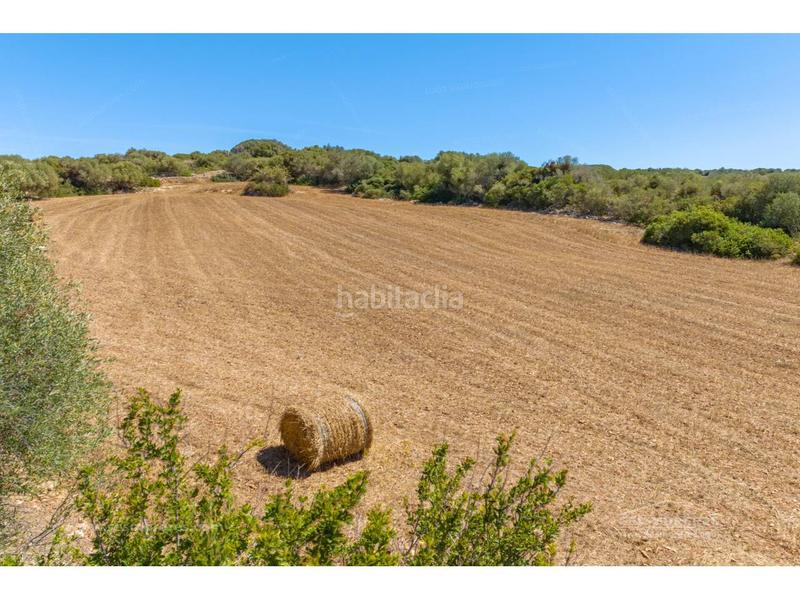 Foto 30d8a1e8-3b79-4354-9de2-69611ffb9cf7. Finca rústica hermosa finca rústica en el barranc dalgendar, menorca propiedades exclusivas a la venta en Ferreries