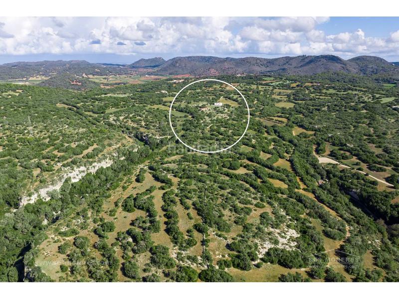 Foto 4bb707b6-7d98-4ac7-a717-89b4e3ff50ca. Finca rústica hermosa finca rústica en el barranc dalgendar, menorca propiedades exclusivas a la venta en Ferreries