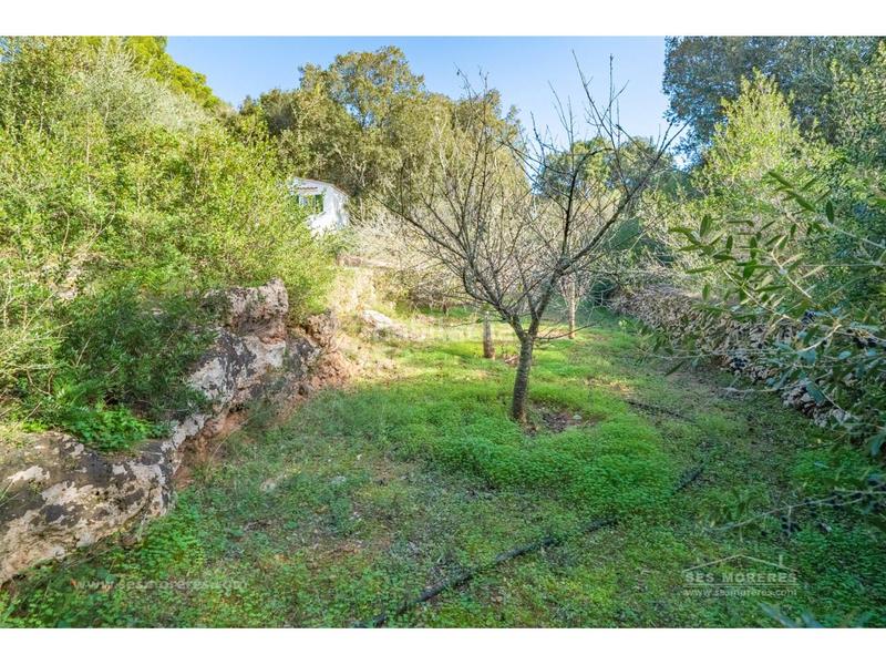 Foto 578822f2-2f08-421d-be80-332041f1411c. Masia a Es Mercadal poble Es Mercadal