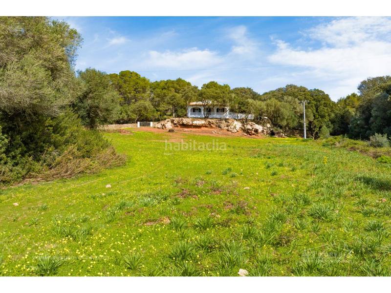 Foto 9195b495-a897-46c5-826d-674e9352019a. Masia a Es Mercadal poble Es Mercadal