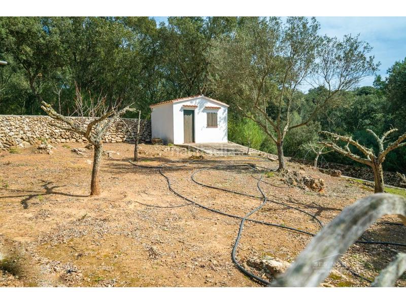 Foto ca4bafa1-715b-4268-8cac-16cf0238343e. Masia a Es Mercadal poble Es Mercadal