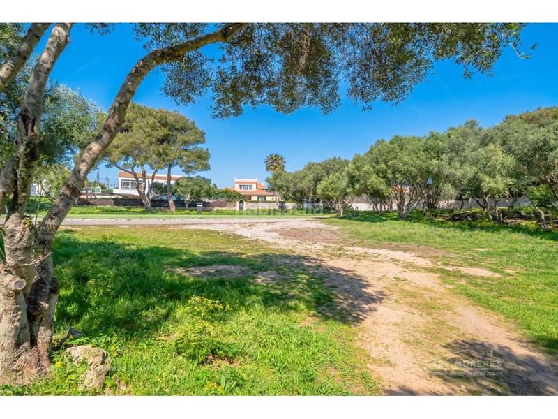 Foto 85eacd3f-63e2-43b8-aadf-039277f54997. Xalet amb calefacció aparcament a Son Vilar-Trepucó Es Castell