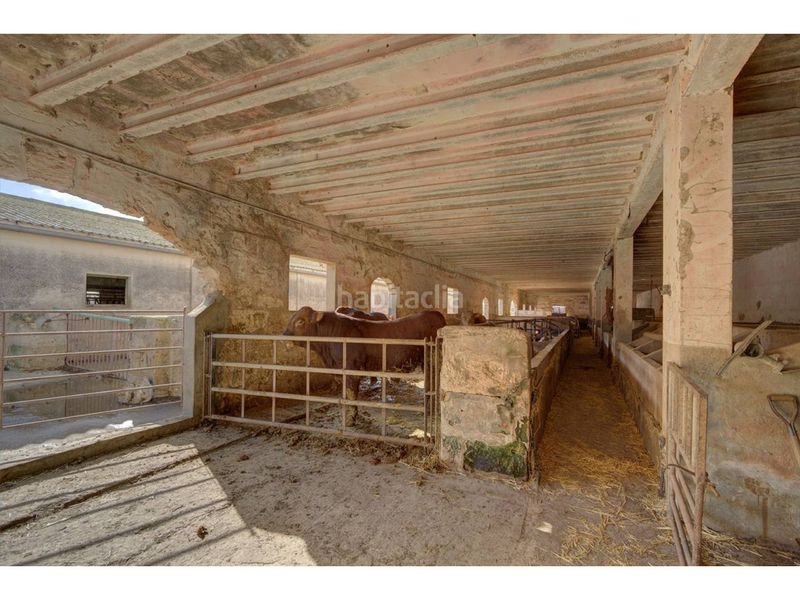 Foto 572d9dfe-ae2f-40a4-8d8e-d745d64e59e4. Finca rústica a Cala d´En Bosch-Serpentona Ciutadella de Menorca