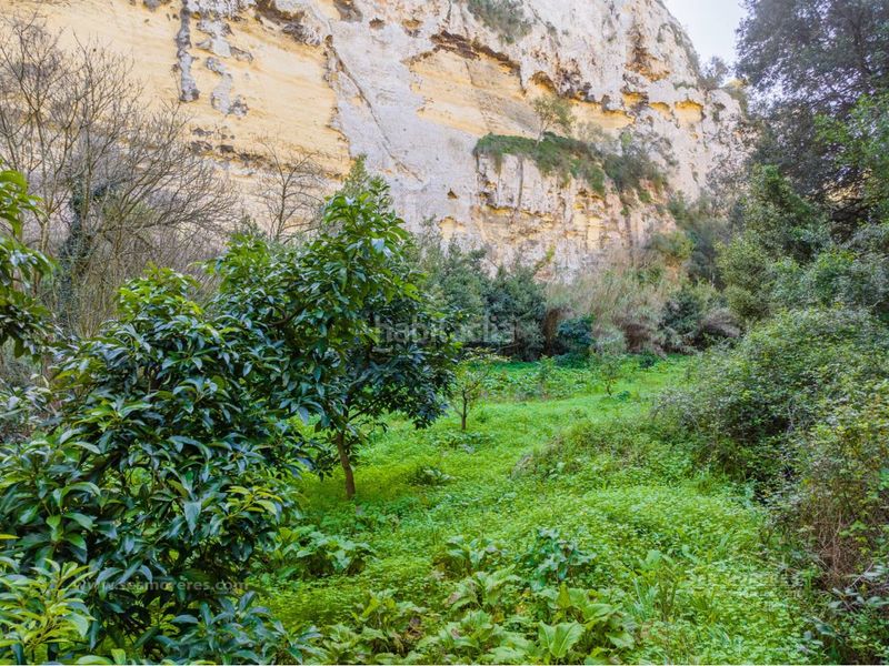 Foto 14b07d15-466f-4f21-84b9-2739fe5fcbdc. Finca rústica a Ciutadella Ciutadella de Menorca