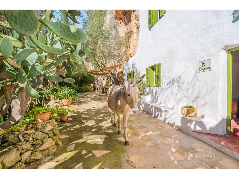 Foto 3dd795a6-434c-4257-a2aa-4adaaafaa930. Finca rústica a Ciutadella Ciutadella de Menorca