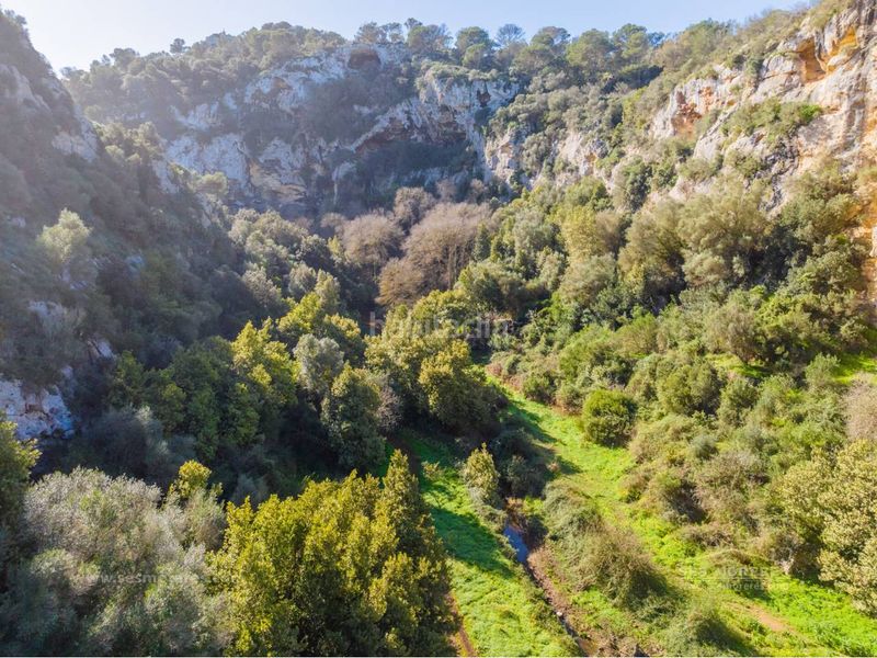 Foto 94776b90-3345-4ce4-a82e-e465a8f9eb54. Finca rústica a Ciutadella Ciutadella de Menorca