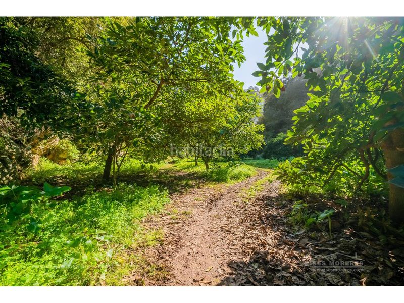 Foto ed996dac-6d1c-4ca9-807f-36887434a065. Finca rústica a Ciutadella Ciutadella de Menorca