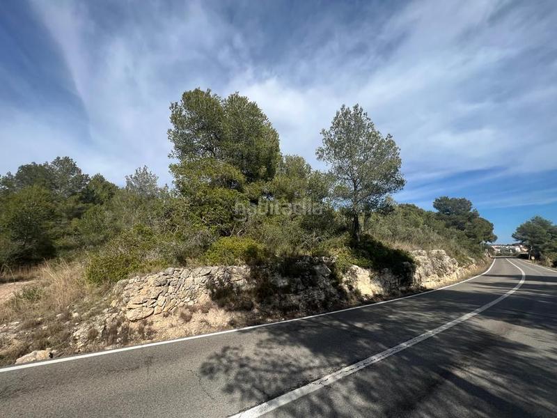 Foto e9987542-ba26-4299-aba3-22a5559c2678. Terrain résidentiel dans Pobla de Montornès (La)