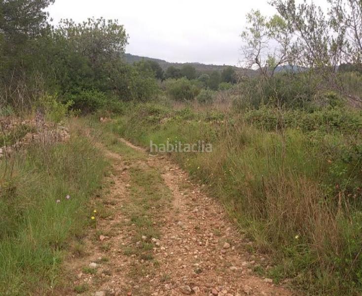 Foto cc8d34b8-1107-4850-95e9-af14e600ee42. Terreno residenziale in n/a in El Tancat-Mas d´en Gual Vendrell (El)