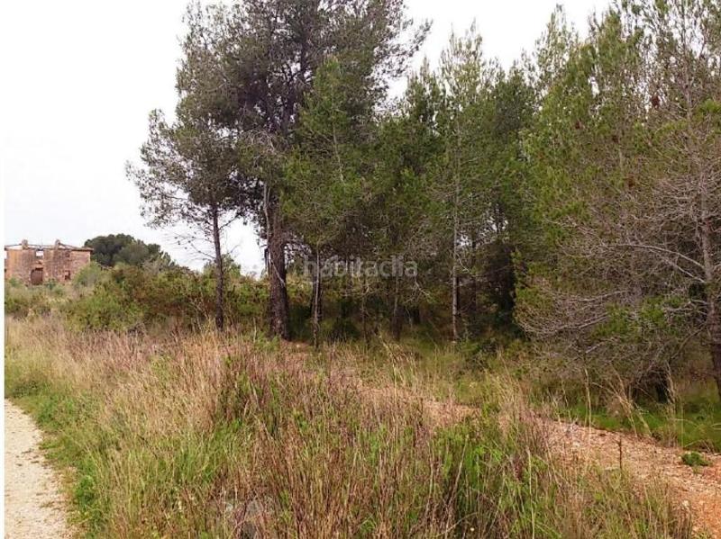 Foto 69466658-e3a6-41d0-abf5-13bedb125623. Wohngrundstück in n/a in El Tancat-Mas d´en Gual Vendrell (El)