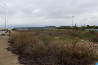 Industrial plot  N/a