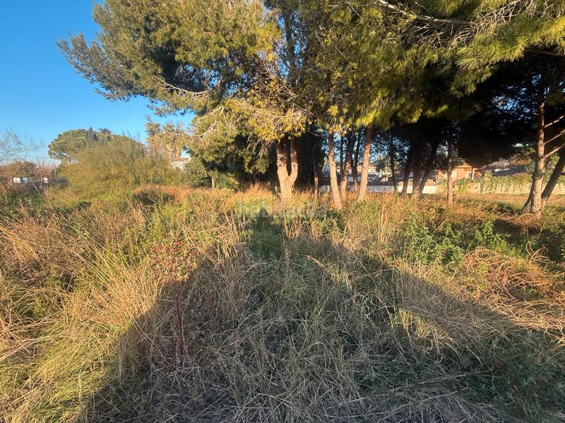 Foto ed98a130-5e4c-44b9-81f2-6a0620fbf75d. Wohngrundstück in carrer d'olzinelles 13 in Clarà Torredembarra