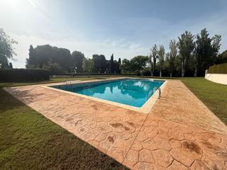 Rent Flat  Carrer francesc mas ros-masos