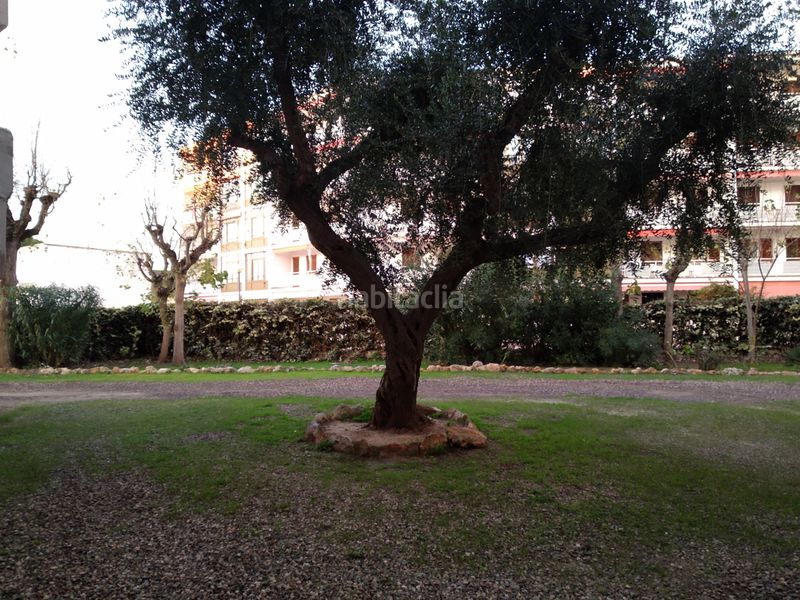 Foto 44afed83-83a1-435c-be71-11fe5088a074. Apartament a Coma-ruga platja Coma-ruga