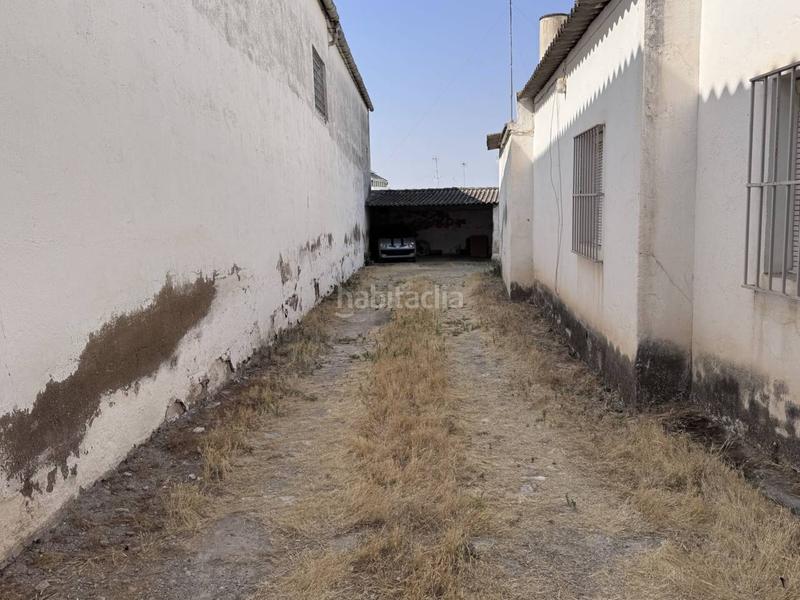 Foto 963dbd15-8441-400d-be63-37ab24788001. Rural plot in Osuna