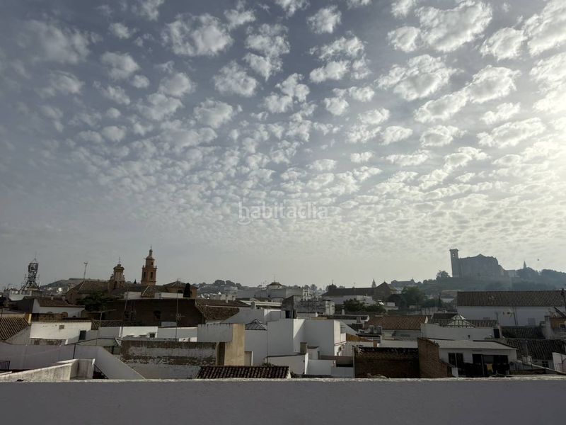 Foto 9a547974-2245-4be0-b468-ccc25989420d. Pis a Osuna